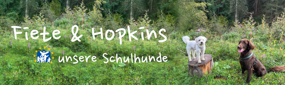 -------------------------------------------------------------Schulhunde