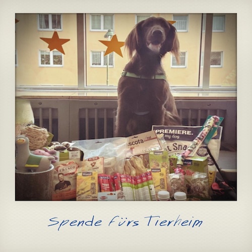 Spende fürs Tierheim Düsseldorf